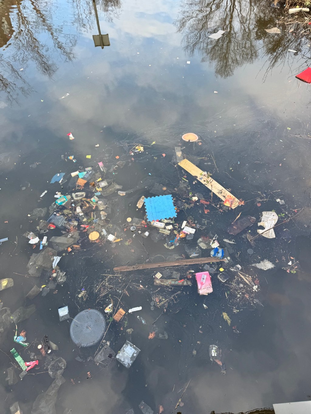 Un canal lleno de basura en Ámsterdam me recordó a&nbsp;Barcelona